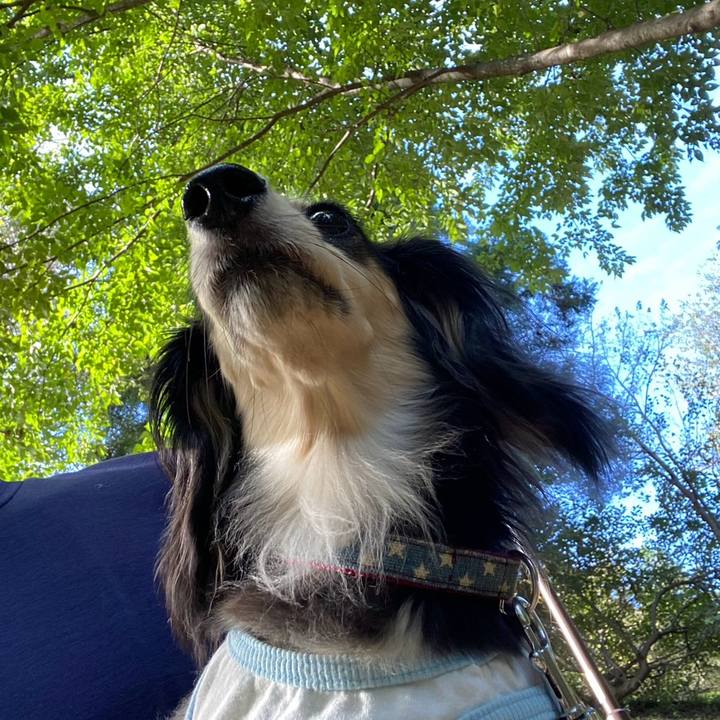 70eabacd 5273 4708 8ff0 cd34fdae3db4 1758585752237