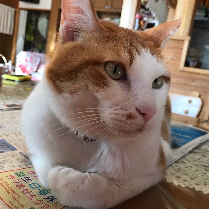 70eae2c5 01ee 41f6 988a 789135e20718 1604360978327