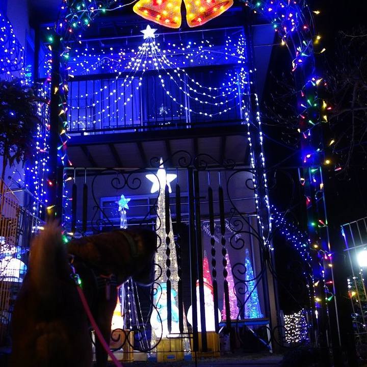 70eb1e2f 3ddf 40f6 961b 71afc4ded76a 1513507601016