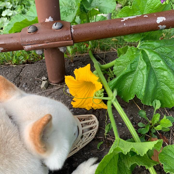 70eb5d19 6906 4326 aa08 d014df872d9b 1566942228045