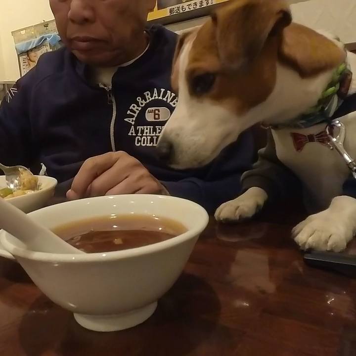 70eb72a6 2699 49fc 9a76 27b5a58ca254 1669436068191