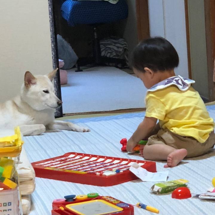 70eb812f 8d4b 4809 95f1 d7586c6fcf0f 1633407597517