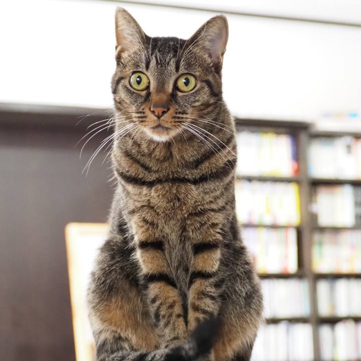 70ebc65c 9dce 4228 8249 0ea6547c0e4a 1538782370840