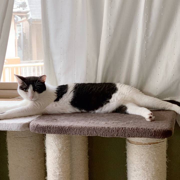 70ebc973 b857 43ec ac70 0c6f90349c48 1538533400005