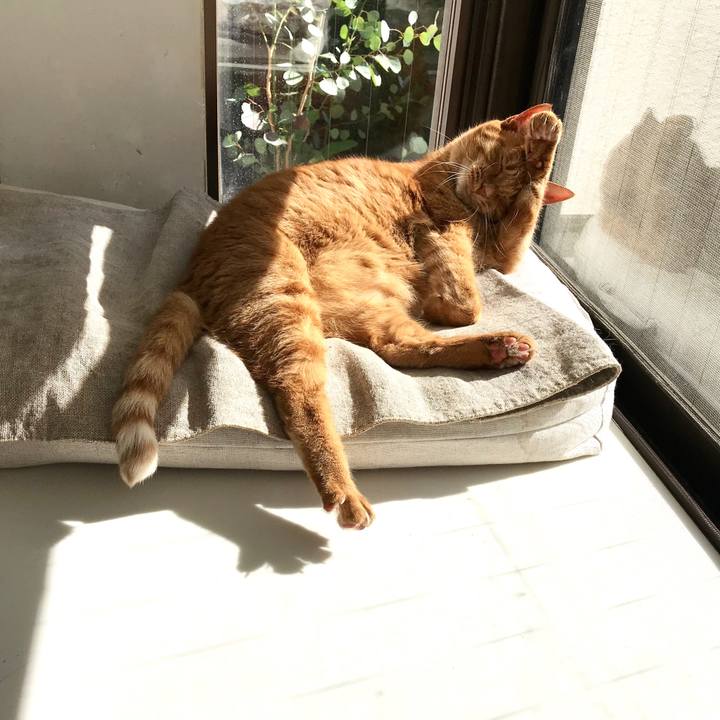 70ec11bf d991 408c 89d1 aab8c27a643a 1509683196799