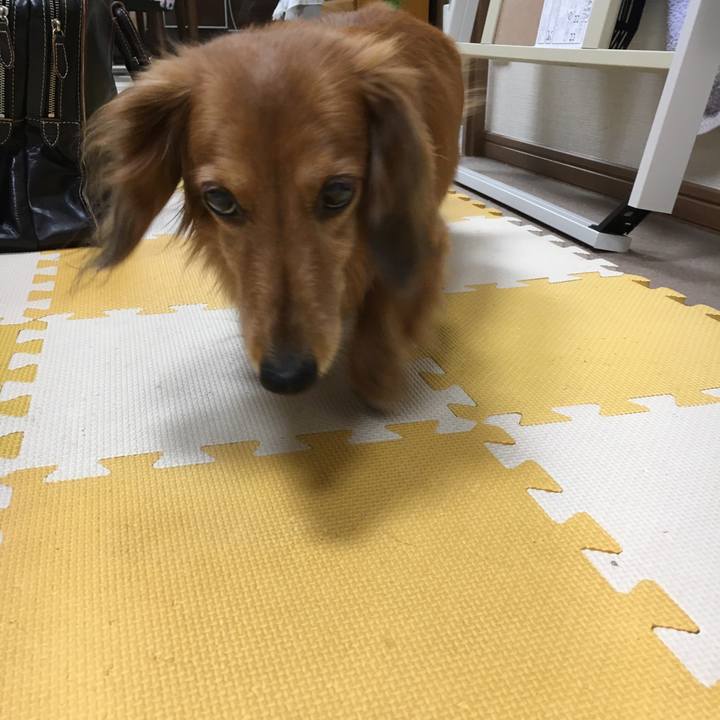 70ec1daa 5bed 451f 939e eb188dddb7cb 1564496639437