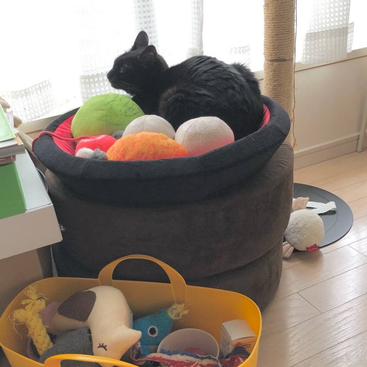 70ec2b44 d8f5 4888 a37b 7b0ff80fe04e 1618628819969