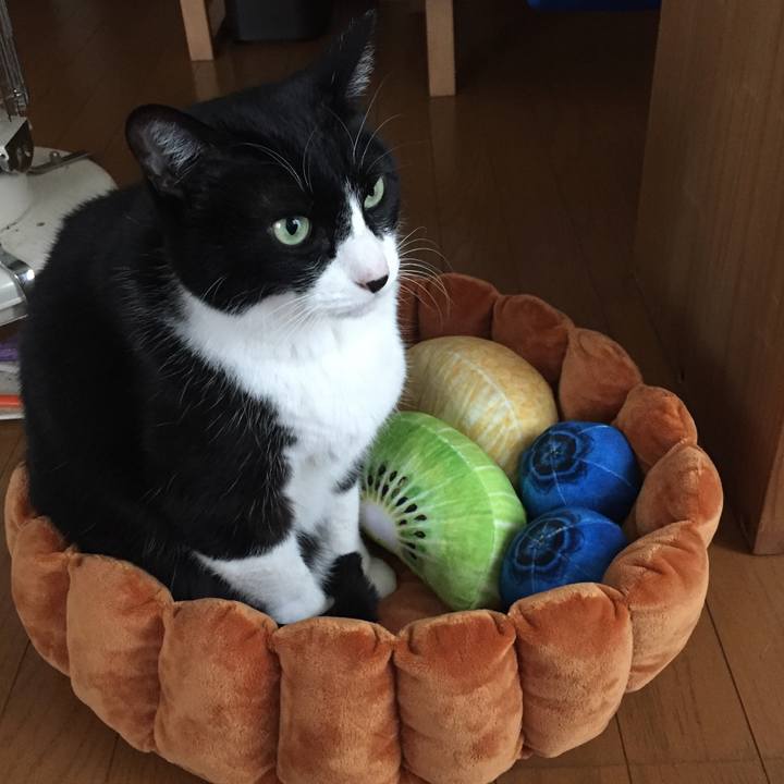 70ecae20 7a6b 4ee5 8e2e 3f3d6c5fd979 1522841512633