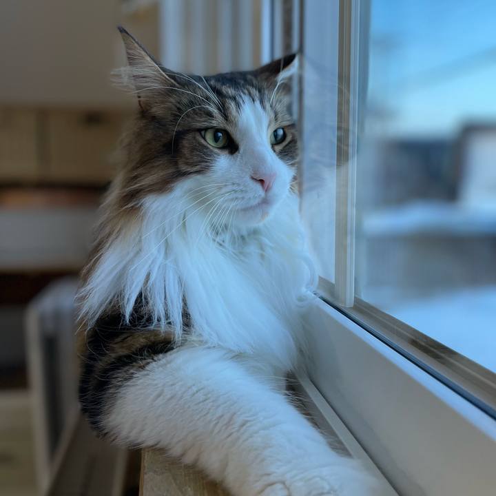 70ecb0b7 3d63 4113 bcf9 f19610129f7b 1677446626711