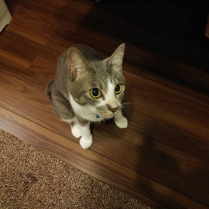 70ecdc7c bcf9 43b4 88f4 5a2f7413c761 1595251803008