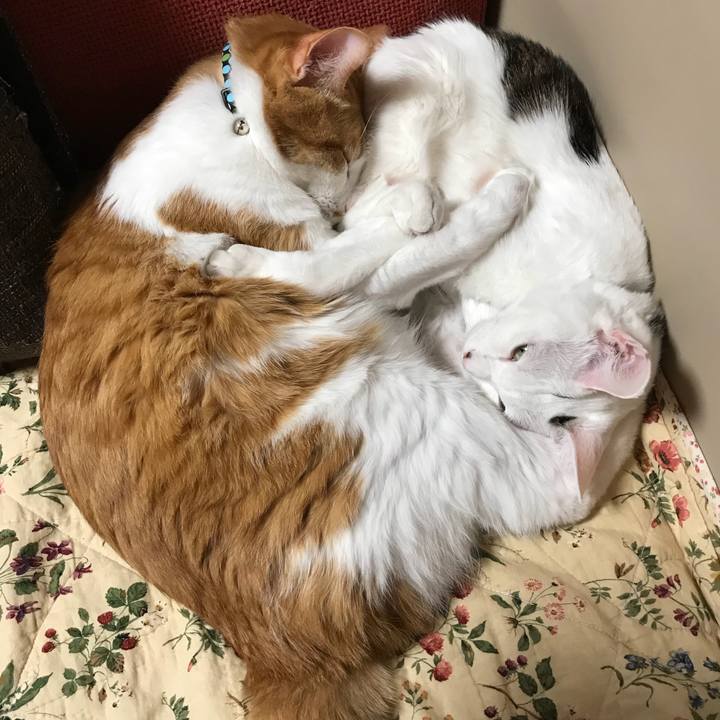 70ed152f 3a70 4889 926b 6a177d9f1e5b 1519473692471