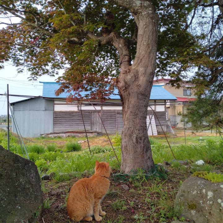 70ed259b 3c5f 4a7a a943 5b65fa9d72f2 1683586525393