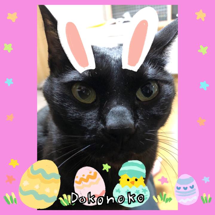 70ed3719 f8d7 430b 9491 27620ca74393 1712656726805