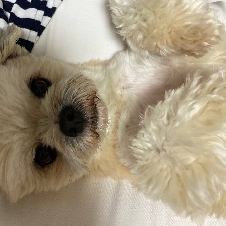 70ed7e0a d3f2 4a11 8fe8 8848ce354659 1591970264034