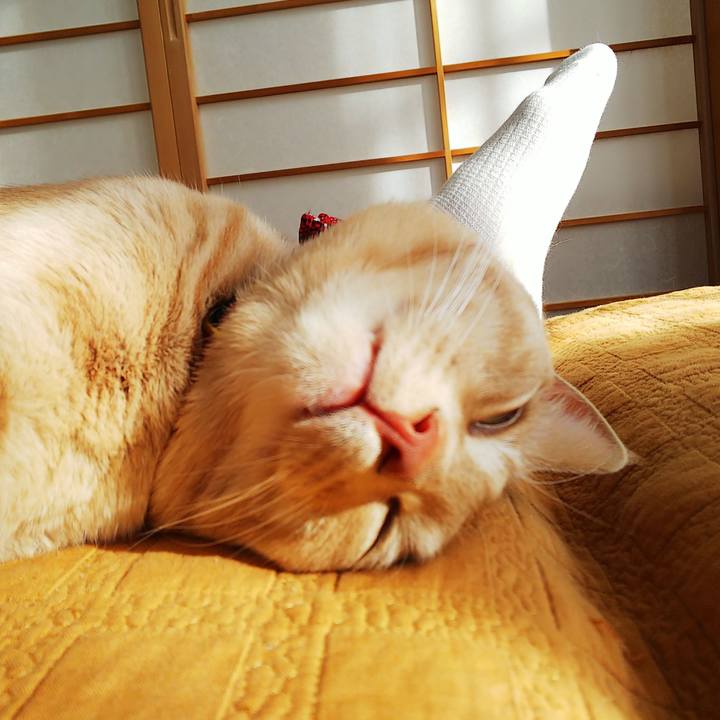 70ed82f0 af87 4132 a2bf 9b14daeef964 1576978512498