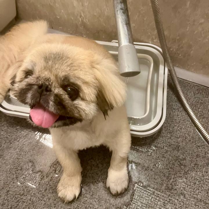 70ed9ce2 2089 4603 b0b5 0bde1b73acf7 1719719079273