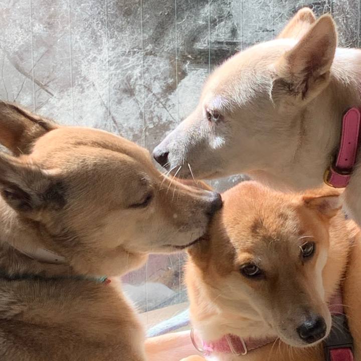 70edad11 226e 438a bade a62d117ecb4c 1635564826971