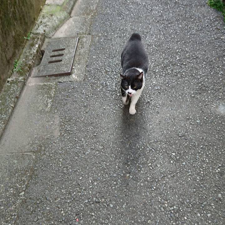 70eddc1d 68d4 4d96 8c7d f5a89972ac46 1661239458942