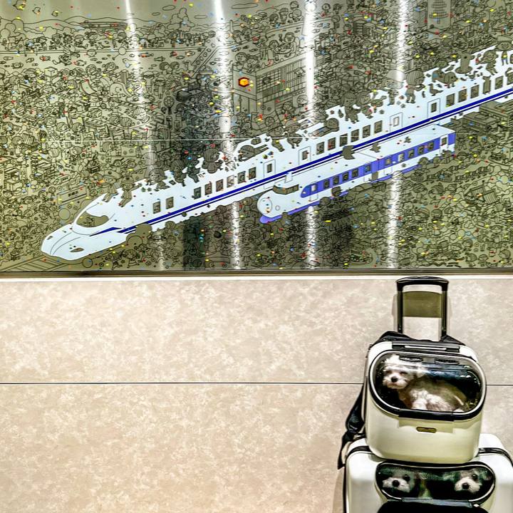 70ee0a0e e093 4197 b1d5 a2d56c8011f8 1675750477988