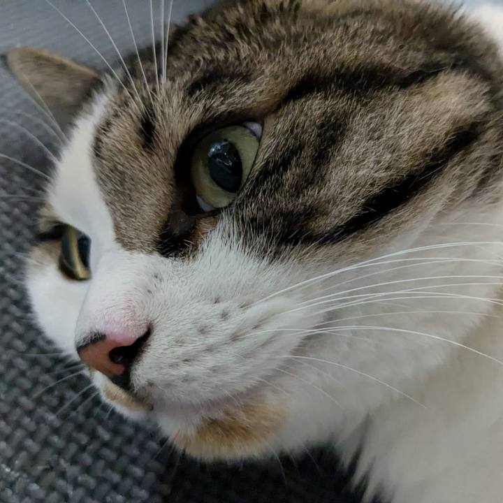 70ee24bd 3f70 49b3 9287 17c72265c1df 1721993847375