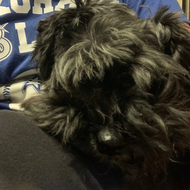 70ee2ad3 f358 4e8b a936 dec1115658eb 1632265706783