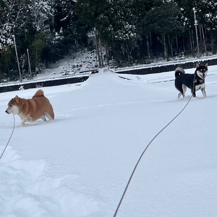 70ee41d4 9368 4785 b54a d41d5ae5c78c 1640608980317