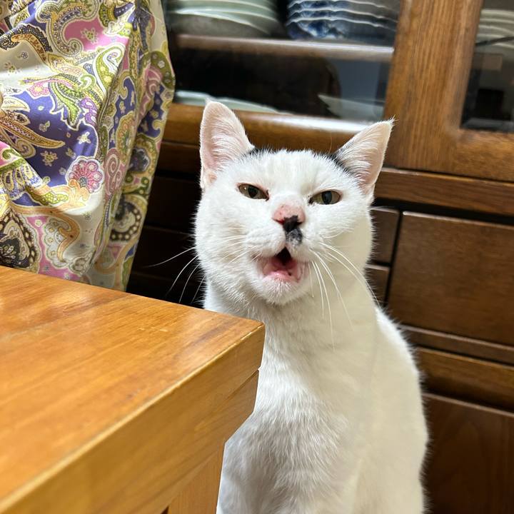 70ee42f6 8efb 431c ba47 064de0f39275 1769164965596