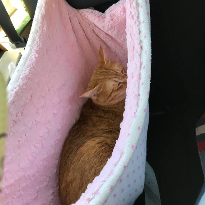 70ee800a 6231 4c05 a80b 5b42ac8f97e0 1533961134209