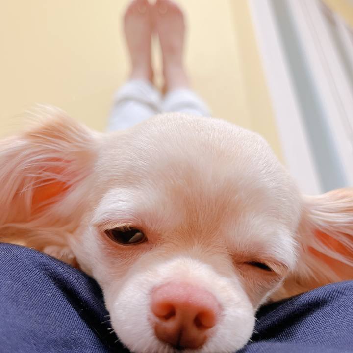 70ee8b93 c19c 4aa2 a5cd f1703f1845b8 1654922811693