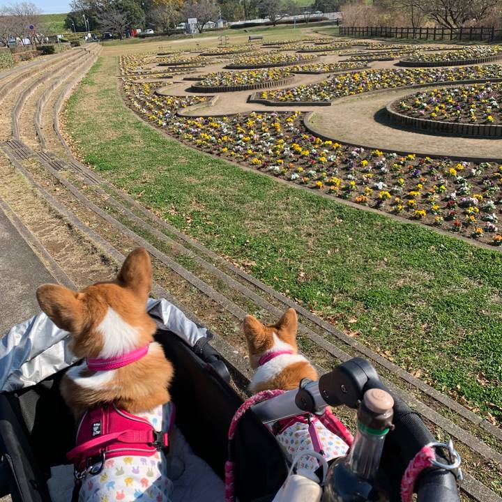 70ee90ec 988e 4af6 b270 76088ea33f15 1606799242298