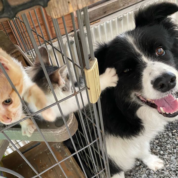 70eee2f9 23bf 45b7 aa50 608d31dc2e02 1631060879460