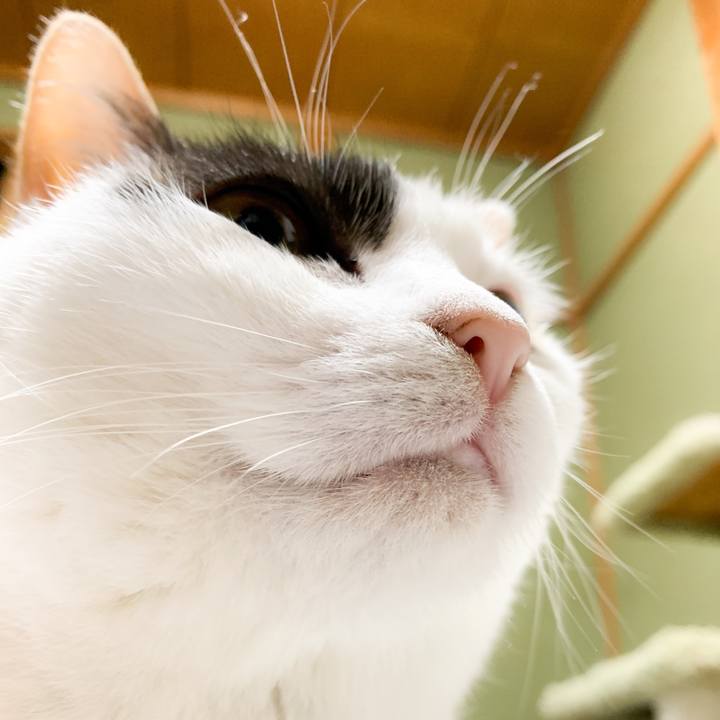 70eeeea2 665b 4edd af80 d0f0aec884da 1582939034721