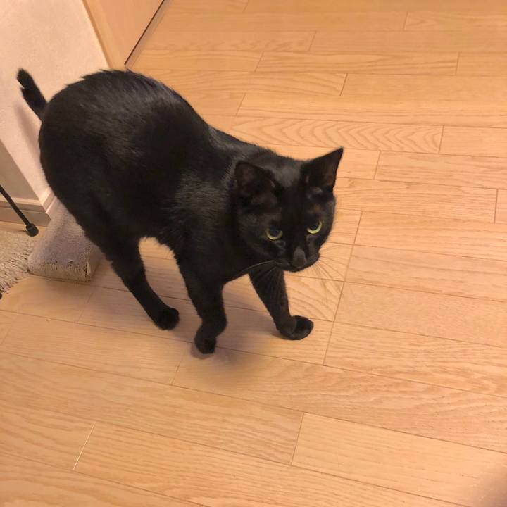 70eeffe0 2241 4613 902d 5a1b26ff785d 1540297796833