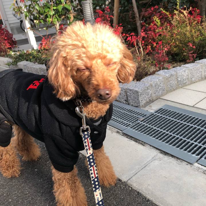 70ef258a 8854 404a 9cee 4e328a3a958a 1613635177607