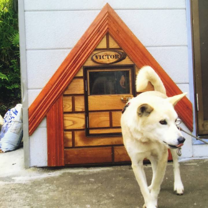 70ef631f f5ab 4c34 9baa 8cf858ed1817 1540807712108