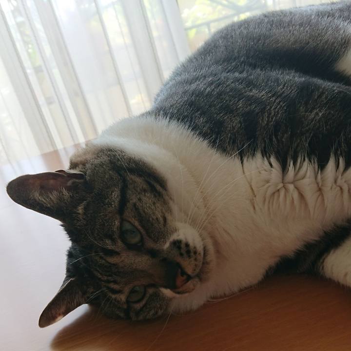 70ef6478 8c33 444e 8ff2 902f0c991d4f 1523150163521