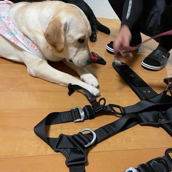 70efc7f1 2c71 4b52 97e8 317e1bb80c5c 1632477801334