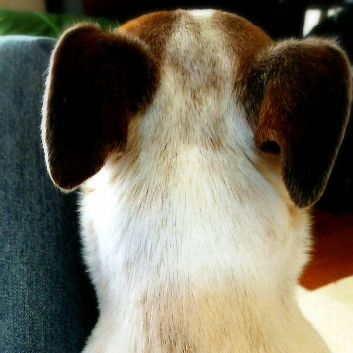 70efdf4e 2657 42d9 a2b8 281625195f1d 1521262357390