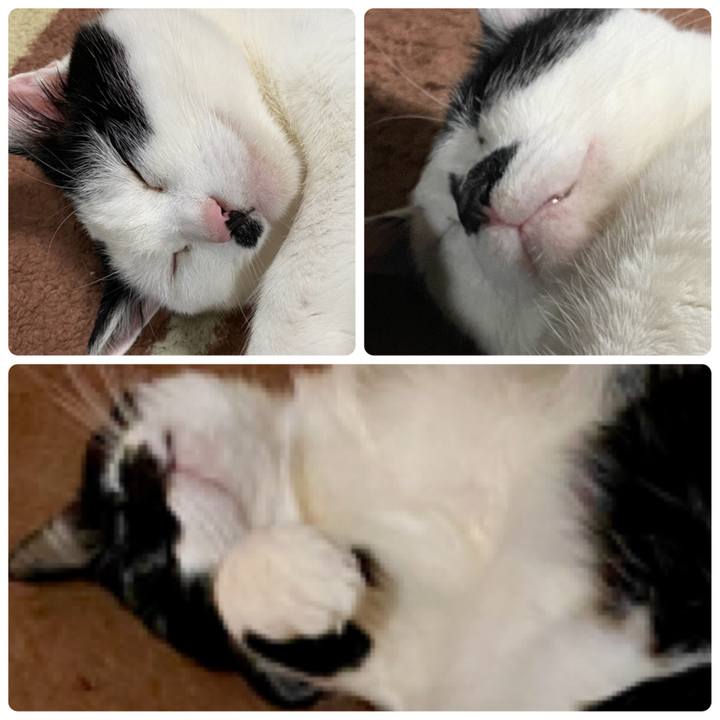 70f03e0a f831 4e7d a3a6 d8d416055904 1614843648937