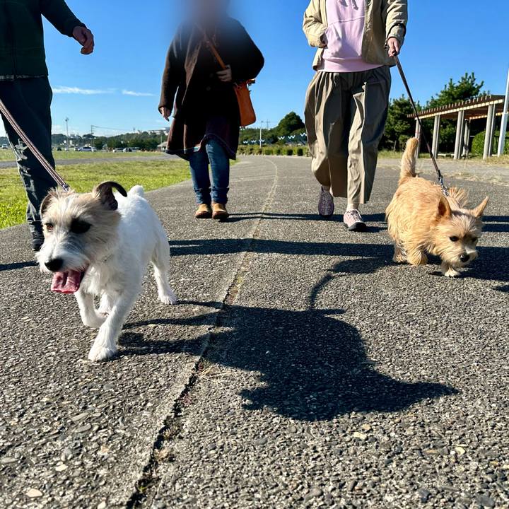 70f049d8 1f46 4063 8367 0d28a783d6c2 1731159417667