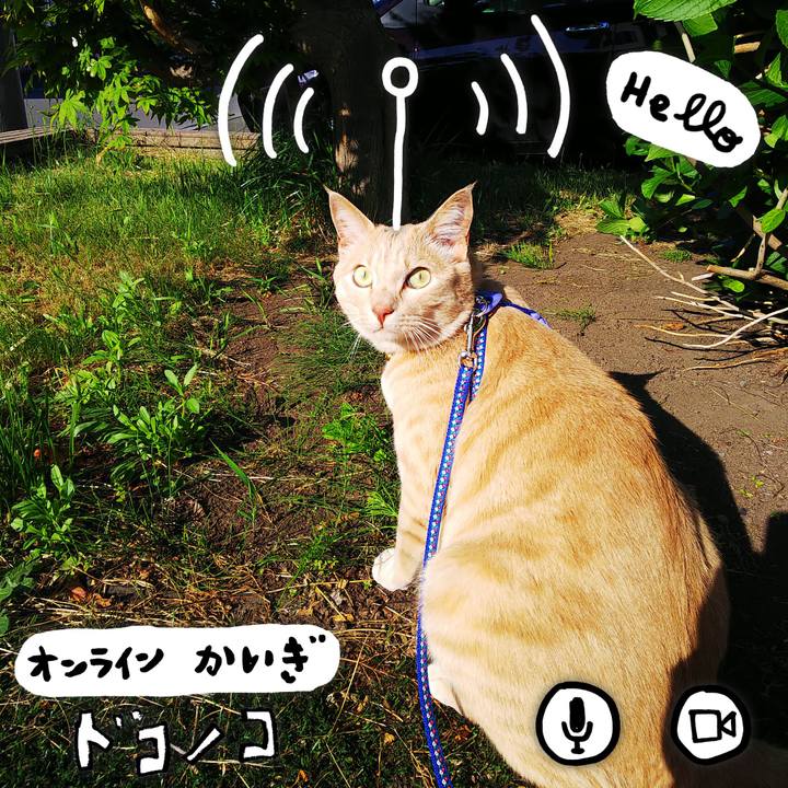 70f06028 40e4 490a 8391 1750556a18f2 1591314625546