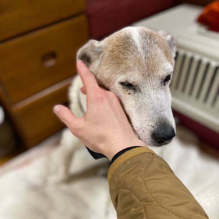 70f0b2bf 46b8 435d bd09 19946e23a56b 1707570708726