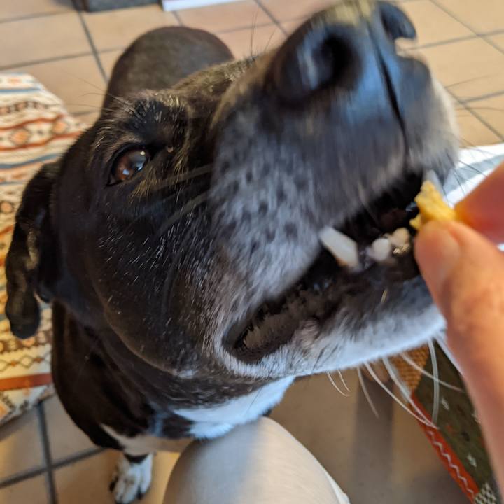 70f0c0c5 d172 44fa bfed 5a8a3cc82fe0 1706836939508