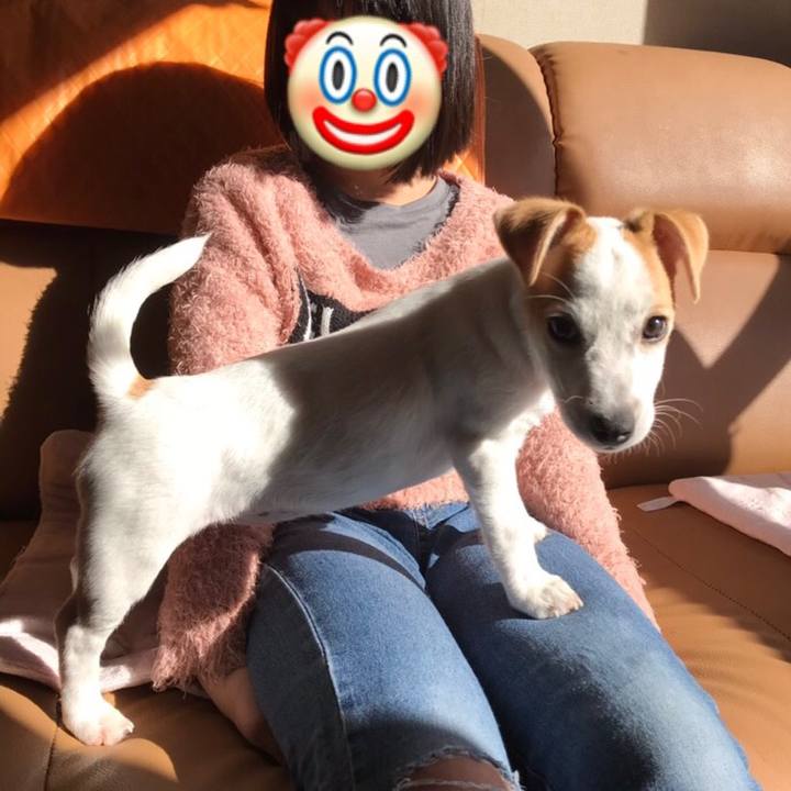 70f0cd99 a3c4 486c b845 4d2c26532961 1544260717003