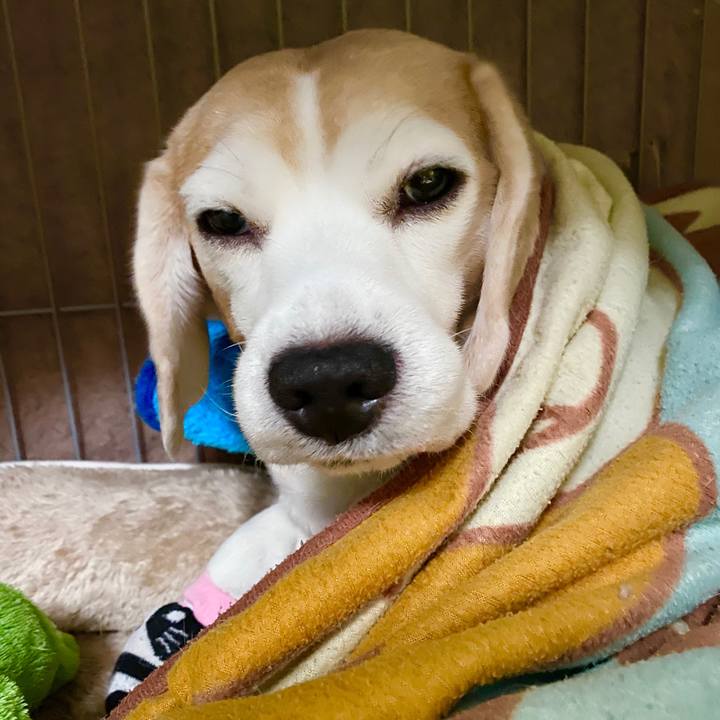 70f0d913 4299 433f afee a20a5ead35d1 1580183370001