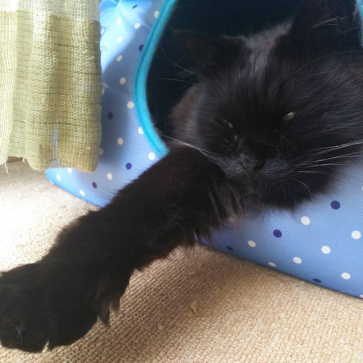 70f0da8e af36 421a 9c1c 31d057312f79 1526167778513