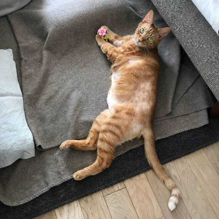 70f0f897 6dbd 480a a073 c857c3c4666b 1548034912170