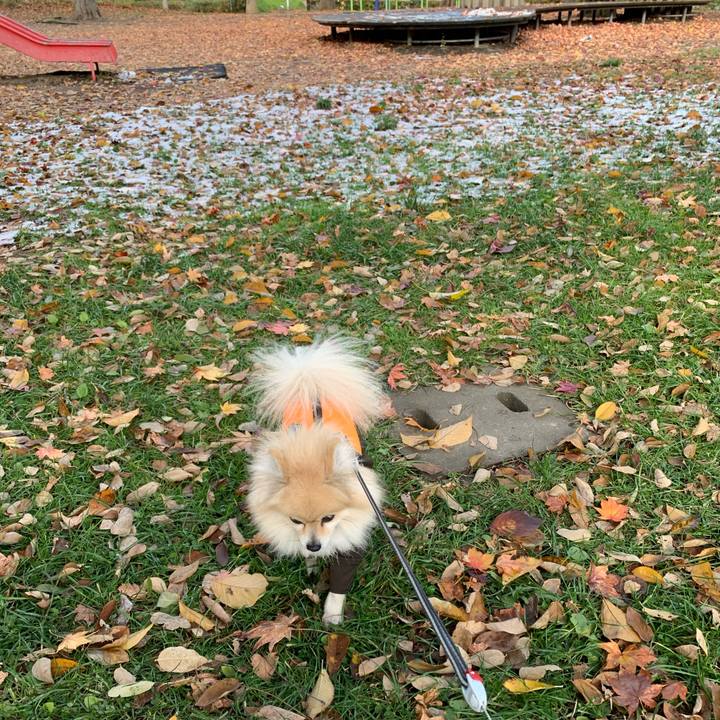 70f10b5d 58da 4deb a9f0 111f3ebc81eb 1604988292273