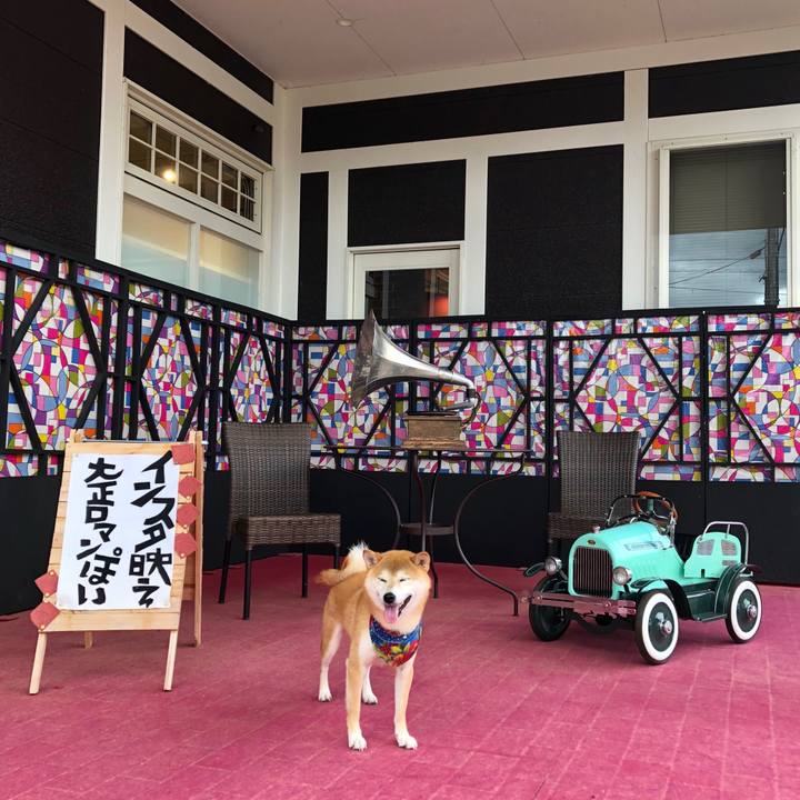 70f11115 1a63 4ec2 a6f0 d28bd7d326dc 1546225674127