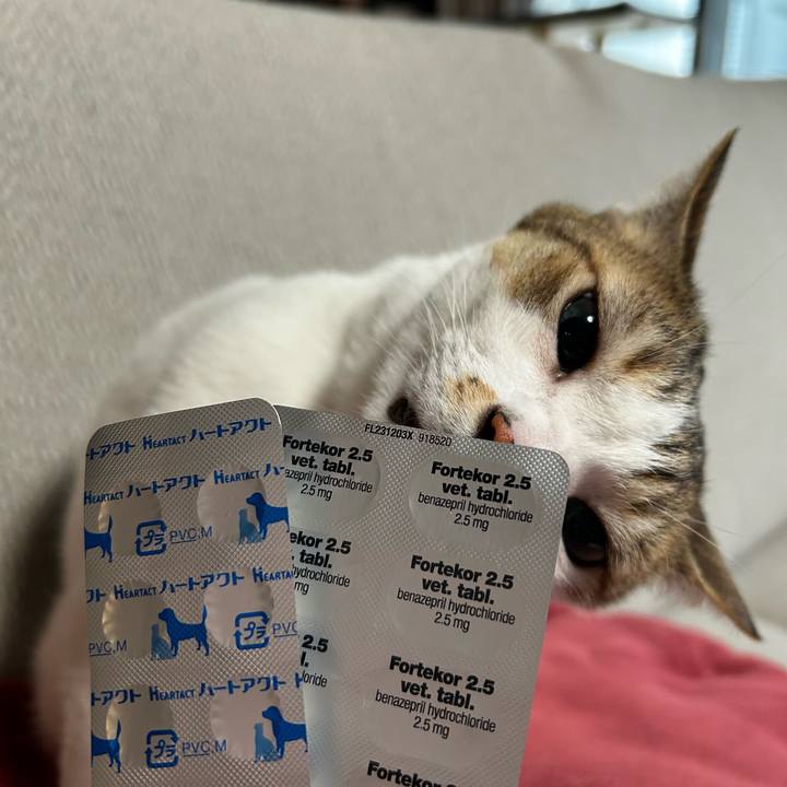 70f14d34 e3f9 4d2e 9281 2b689cb4743b 1762573762862